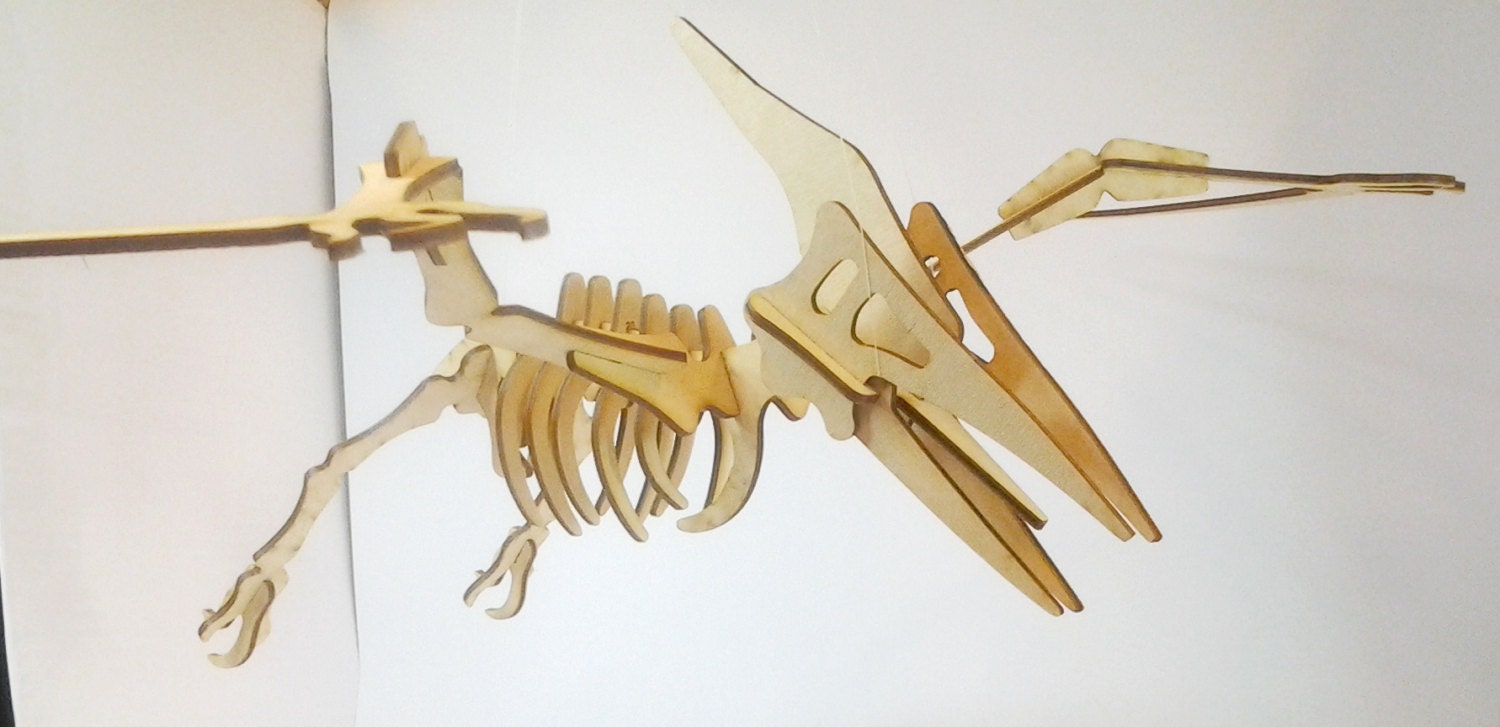 skeleton pterodactyl