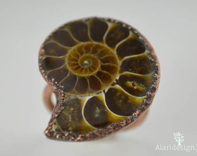 Ammonite Fossil Statement Ring, Fossil Ammonite Ring, Electroformed Ring, Ammonite Jewelry, Gemstone Ring, Wearable Art, Statement Ring
