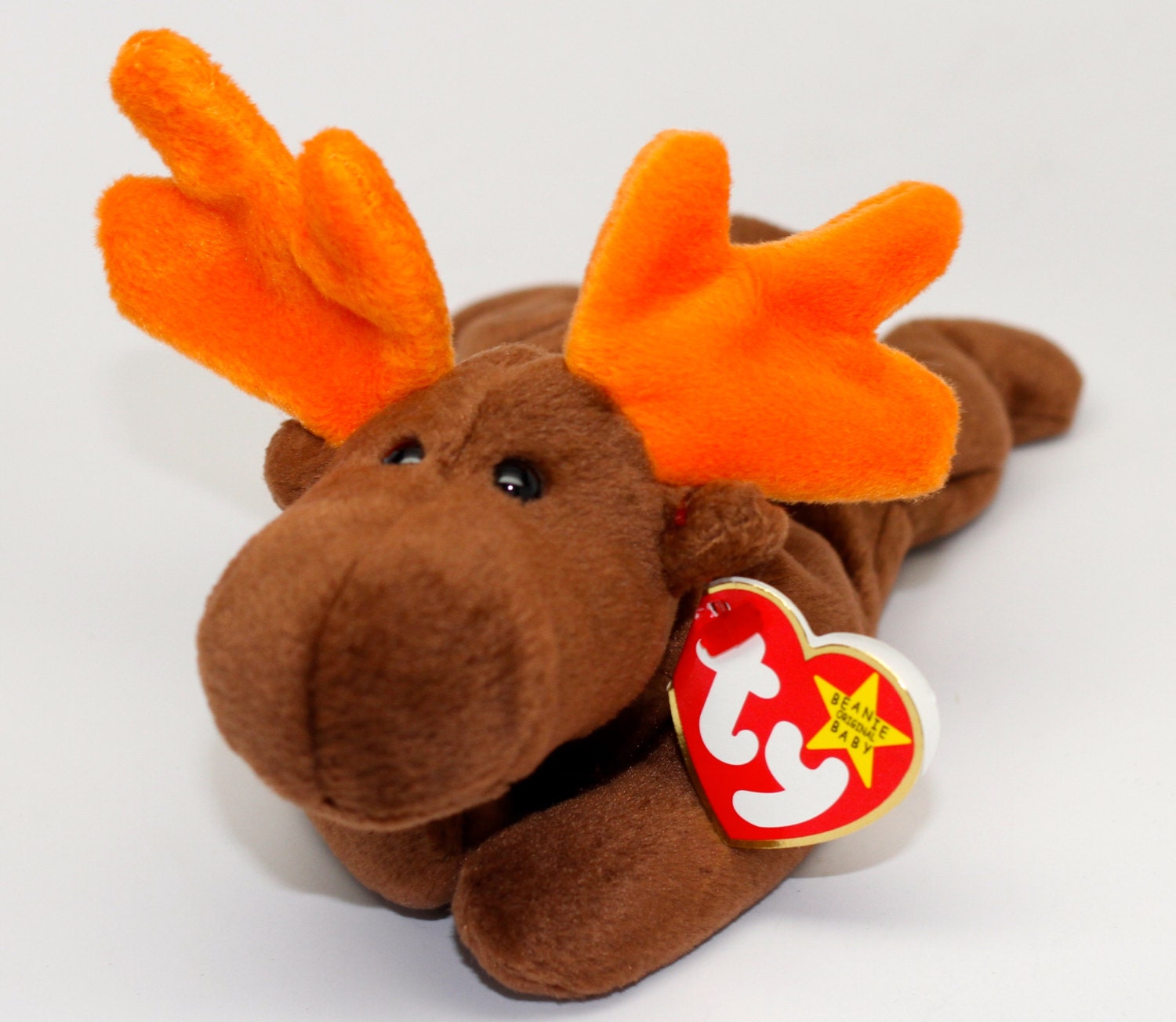 ty beanie moose