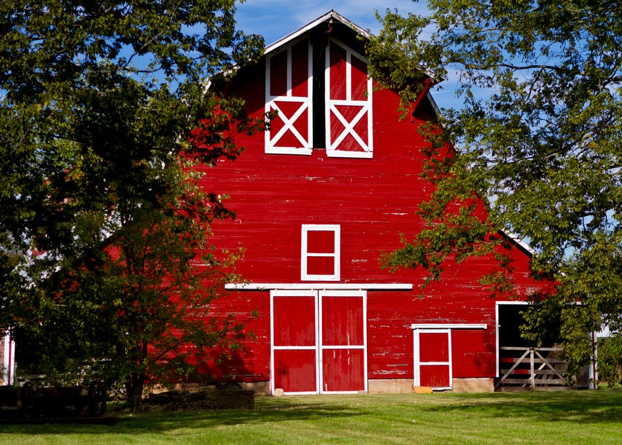 Red Barn with White Trim Note Card Rural by WingHillPhotos