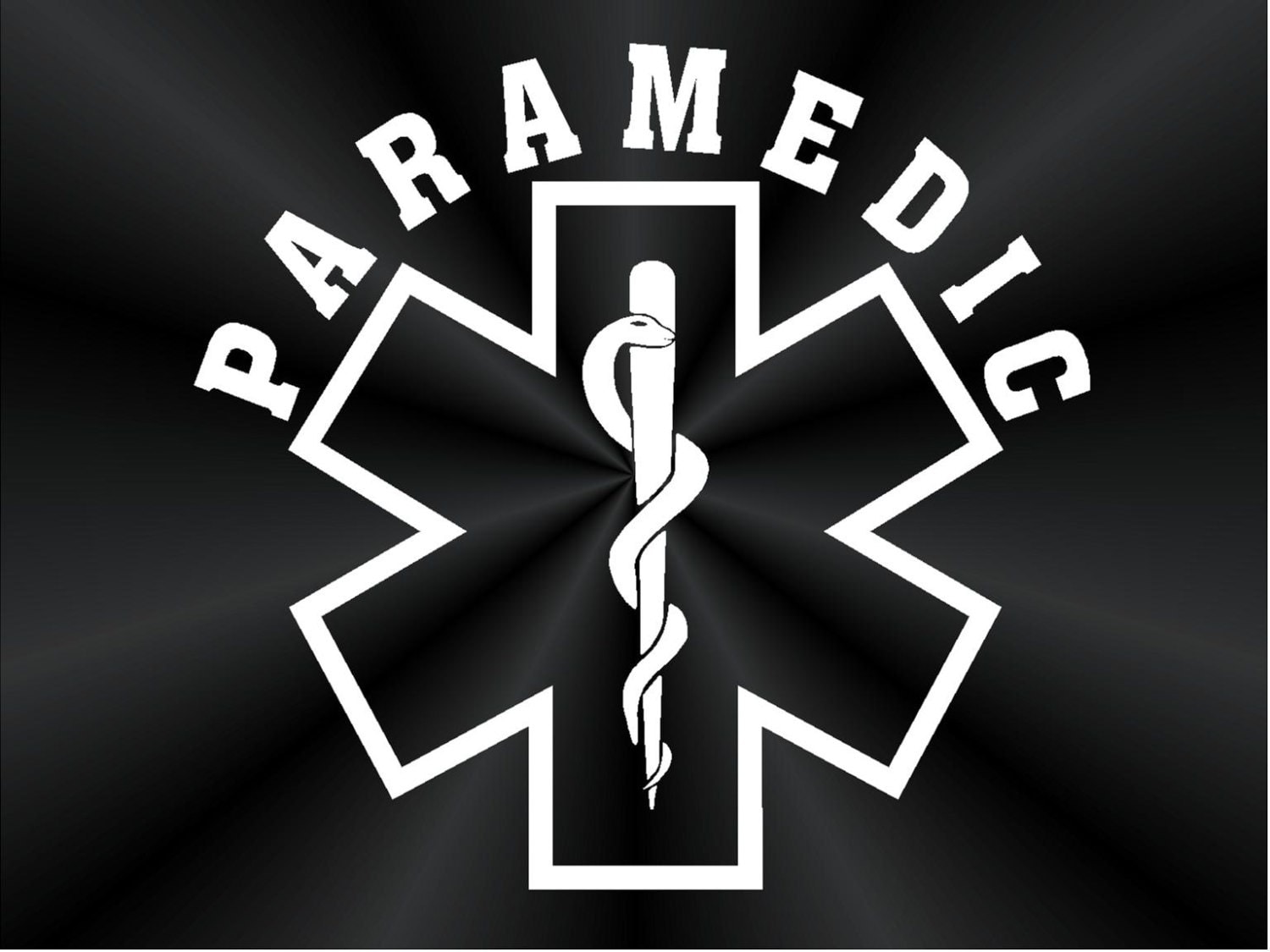 Paramedic Decals EMS EMT Star of Life Wall Truck Car