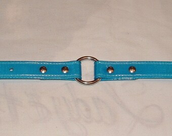 Light/Medium Blue DayGlo Collar Beta Collar Biothane Collar Dog Collar Hound Collar Hunting Collar Stainless Steel Hardware FREE NAMEPLATE
