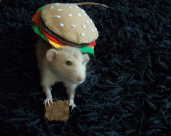 Hamburger Rat Costume