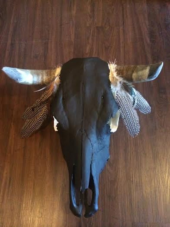 COW SKULL painted black with feathers by chelclonestar on Etsy