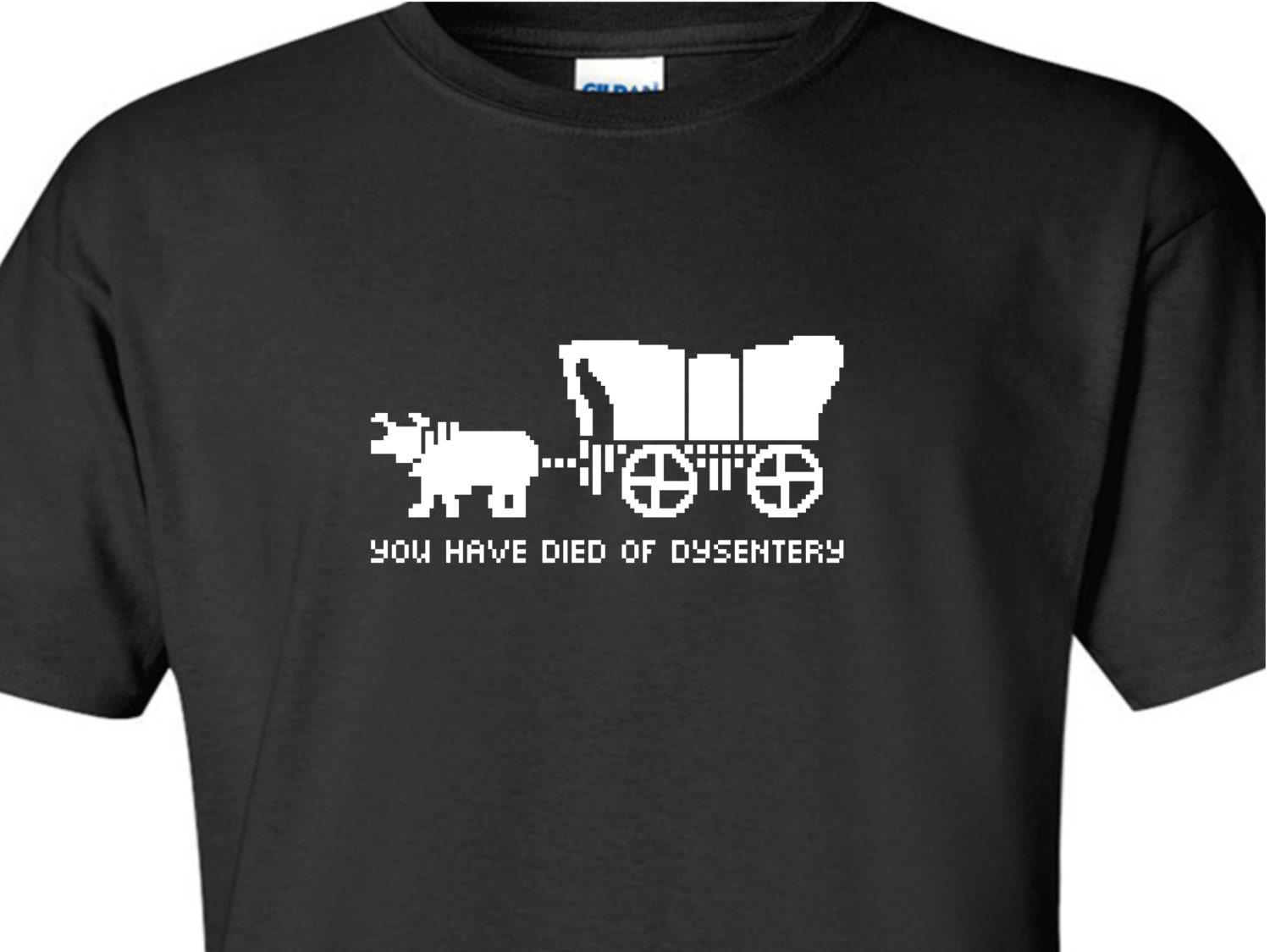 You Died of Dysentery funny video game Oregon west trail 80s 8