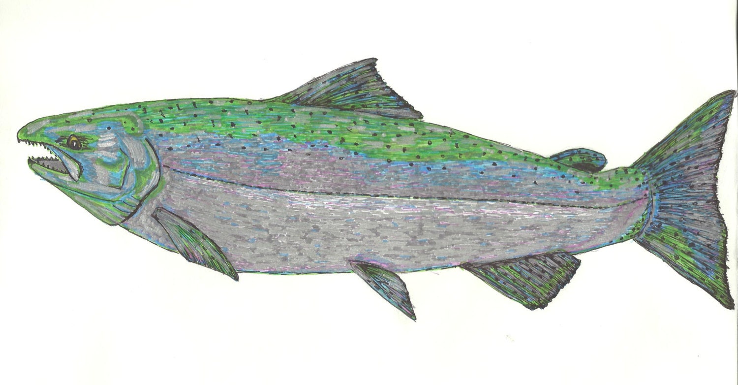 Chinook Salmon Print of Sharpie Marker Art by SeaMySoul on Etsy