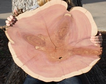 Guest Book Alternative, large wood slice, 16" - 17" diameter, 2" thickness, smooth sanded surface to sign, woodsy, rustic, Texas, southern