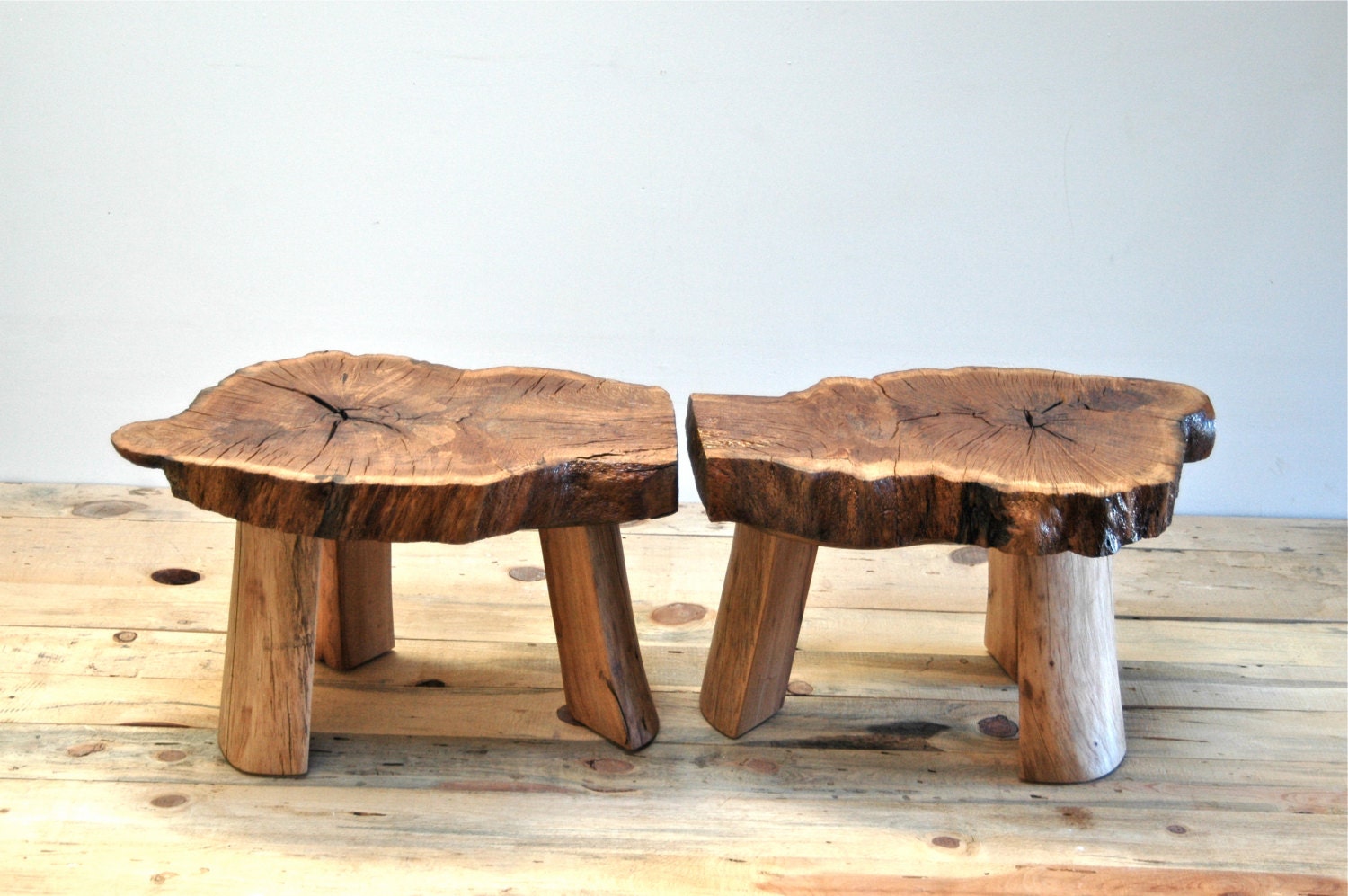 Oak Tree Stump Table Pecan Legs Live Edge