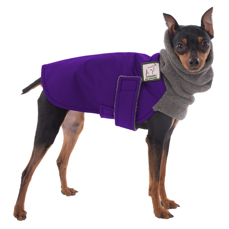 MINIATURE PINSCHER Winter Dog Coat Winter Coat for Dogs