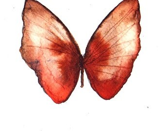 rust red brown butterfly original watercolour painting 7 x 5"