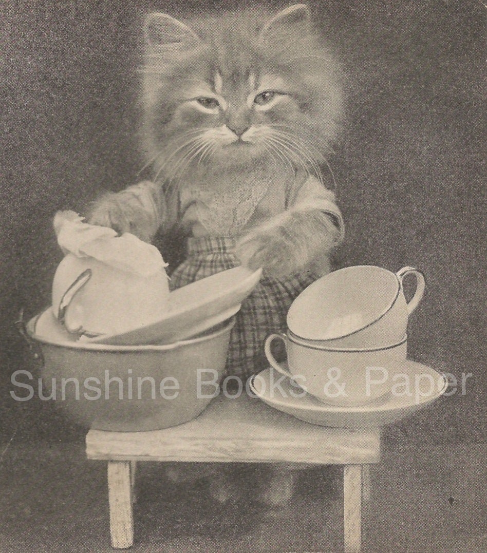 Washing  Dishes  Cats  Kittens Vintage Print Mothers Day