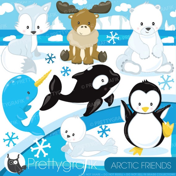 Arctic animal clipart commercial use, polar bear vector graphics, penguin digital clip art, digital images - CL783 Il_570xn