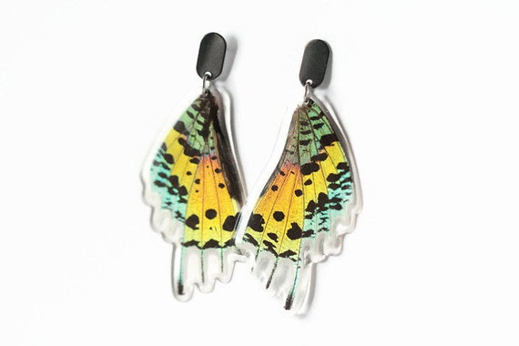 how to   With Moth  Urania make Steel Earrings resin Coated Sunset Wing Stainless  butterfly  Resin wings