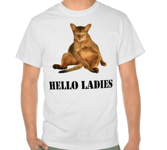 Items similar to Dirty Cat Tshirt Hello Ladies, Mens Humor TShirts Mens