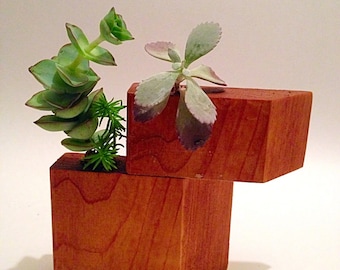 Modern planter, minimalist decor, succulent planter, reclaimed cedar wood - set
