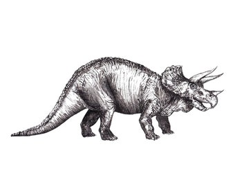 similar dinosaurs to triceratops