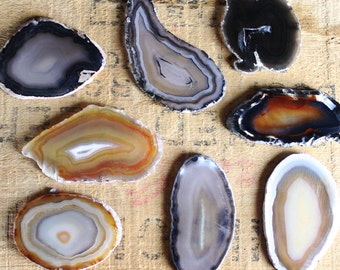 Natural Brazilian Agate Slice 2-3" | 1 piece