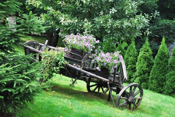 Digital Download Flowers In An Old Wagon By Naturephotosforyou