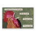 SALE! Meat Cleaver Magnet - Chicken - Rooster - Humor - Gift - Bird - Stocking Stuffer
