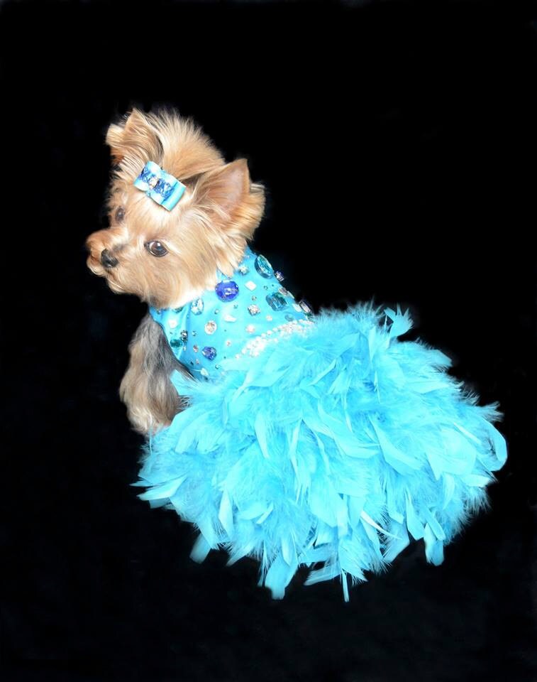 Swarovski Crystal & Rhinestone Satin Feather Harness Dog Dress