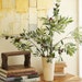 Twig and Olive Photography