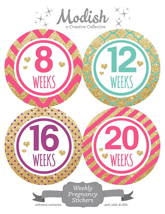 Pregnancy Stickers Weekly Pregnancy Stickers Monthly by ModishCC