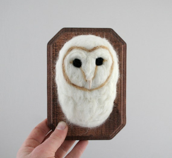 barn owl taxidermy for sale