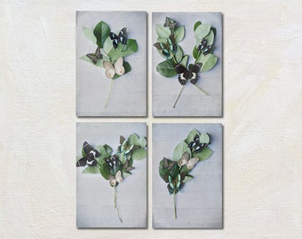 Butterfly Photography Set, Four Photograph Set, Green and Grey Photography, Still Life Art Print, Botanical Picture