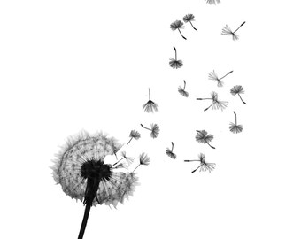 Dandelion Temporary Tattoo High Quality Die Cut Transfers