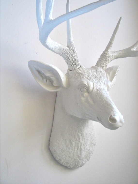Faux Taxidermy White Deer Head wall mount wall by mahzerandvee