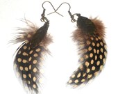 Feather earrings, dangling jewelry, spotted feather jewelry, dangling earrings, bronze jewelry, brown jewelry, lightweight earrings