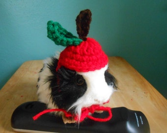 Guinea pig Apple Hat, Crocheted Bearded Dragon Apple Hat, Guinea pig clothes, tiny pet Costume, Halloween Guinea pig Costume