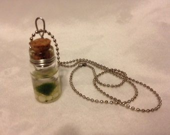 Baby marimo necklace