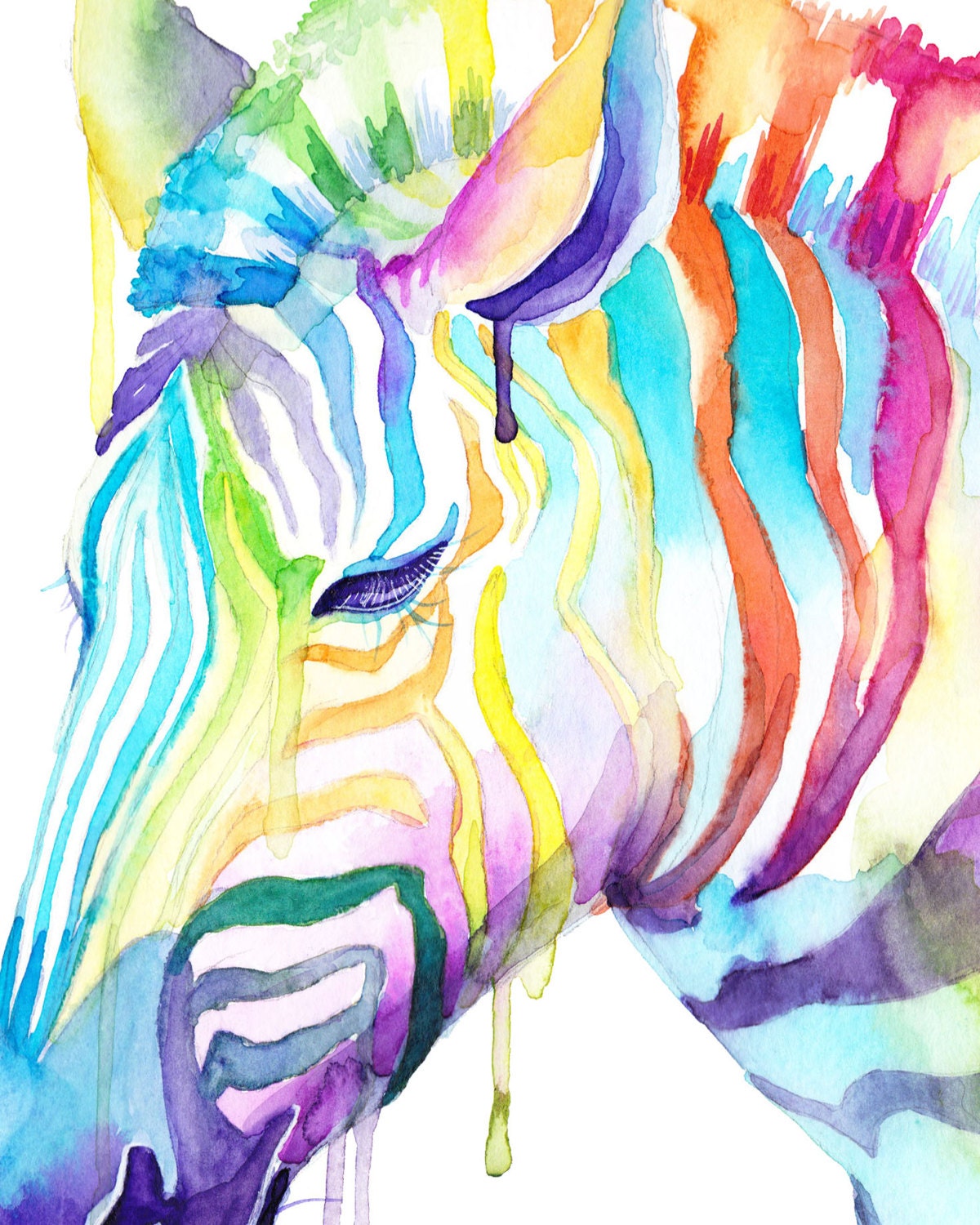 Colorful Zebra Watercolor Print Wild Animals Cool art