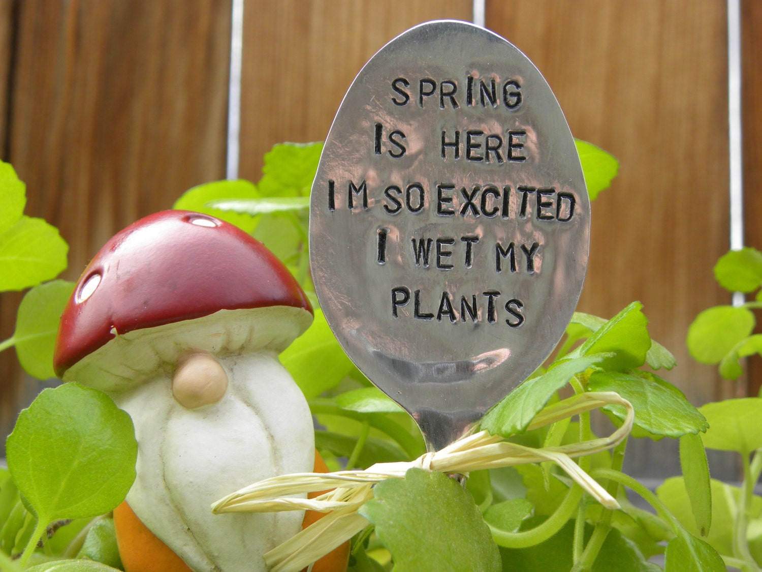 Spring is here I'm so excited I wet my plants garden pick hand stamped spoon - plant marker - garden marker for planter -  bed re-purposed