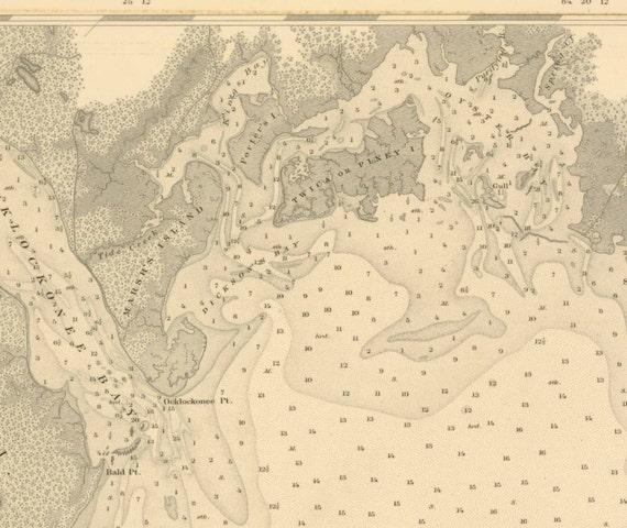 Florida Panhandle Apalachee Bay - Il 570xN.711455120 Qocw 