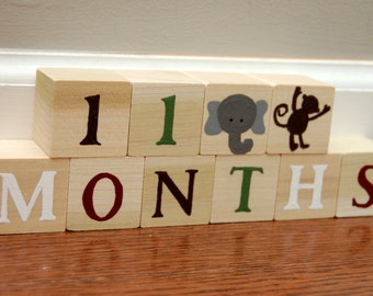 monthly baby blocks