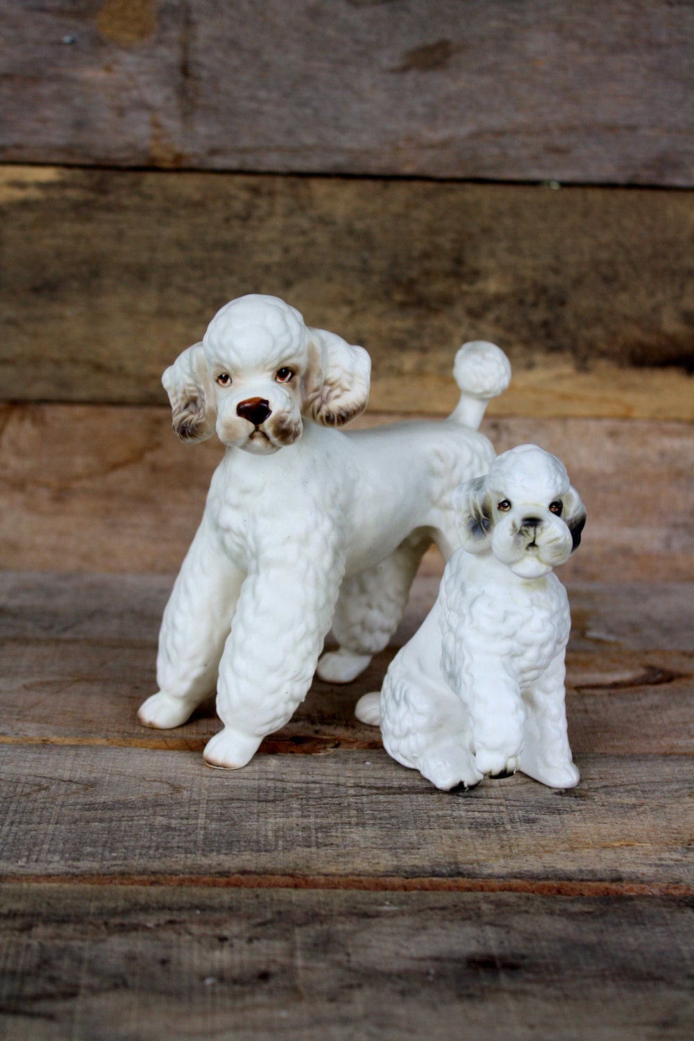 poodle collectables