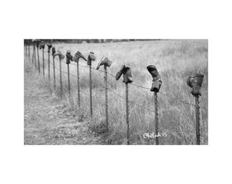 Boot Fence Fine Art Photography Black and White Texas Landscape Rural Route Roadside Folk Art Farm and Ranch Humor Country Western Rustic