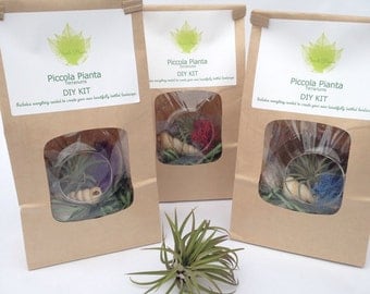 DIY Terrarium Kit, Airplant Terrarium Kit, Tillandsia Orb, Make Your Own Terrarium Kit, Terrarium, Terrarium Supplies, Hanging Airplant