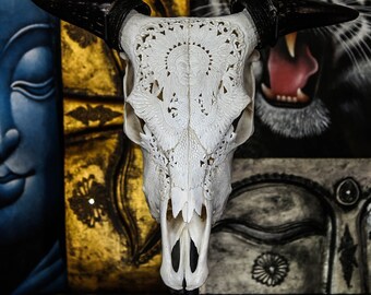 Beautiful Hand Carved Indian Chief Steer/ Cow Skull with Horns/ Bull/ Longhorns/ Antique Buffalo Taxidermy