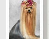 Yorkshire Terrier Dog Print, Dog Painting, Dog Wall decor, Dog Portrait, Dog Artwork, Pet Wall art, Fun Dog with red rose flower, Pretty Dog
