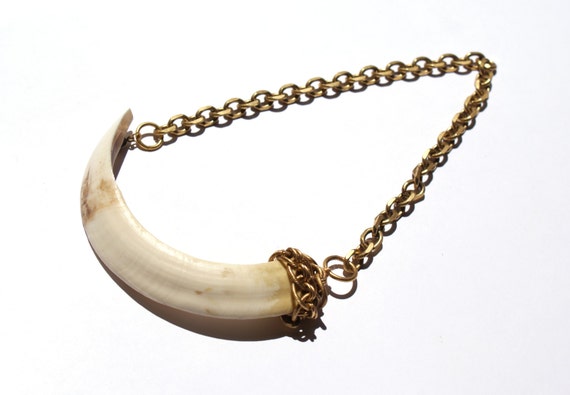Wild pig tooth necklace