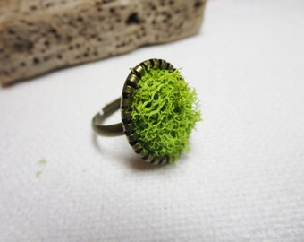 Moss ring -Moss terrarium jewelry- moss bracelet-moss globe ring - moss and bee globe necklace -