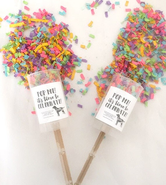 CELEBRATION Confetti Bombs Confetti Launchers by ThePartyLab
