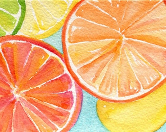 Ruby Red Grapefruit Lemon Orange Lime slices on by SharonFosterArt