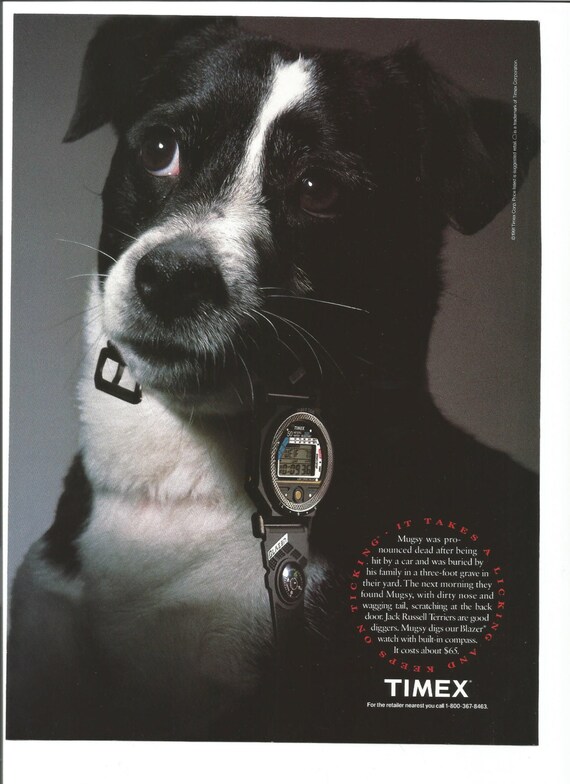 1991 Timex Watch Advertisement Mugsy Dog Back from Dead Jack