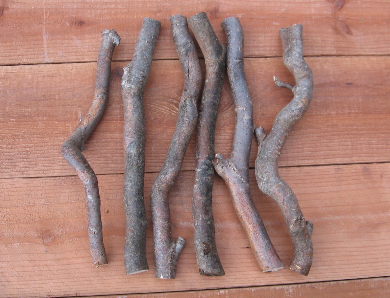 Natural Curly Willow Sticks12 Sticks 12 Inches Long