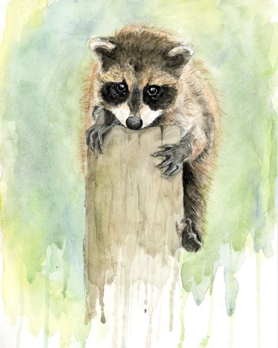 Baby Raccoon Original Watercolor Painting Archival Print