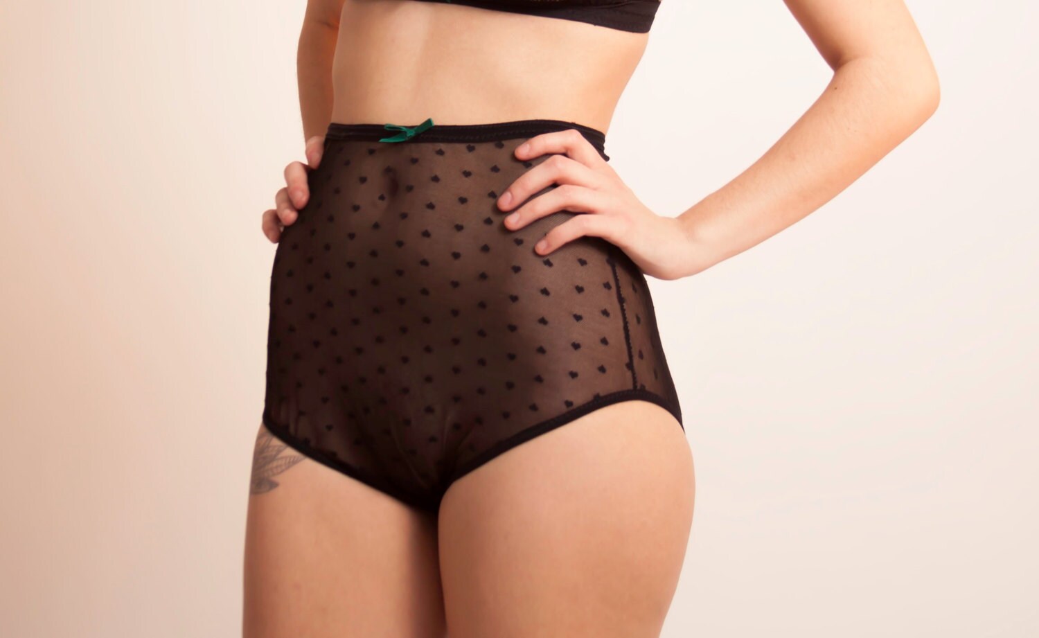 Sheer Black High Waisted Panties Sheer Mesh by FilkinsLingerie